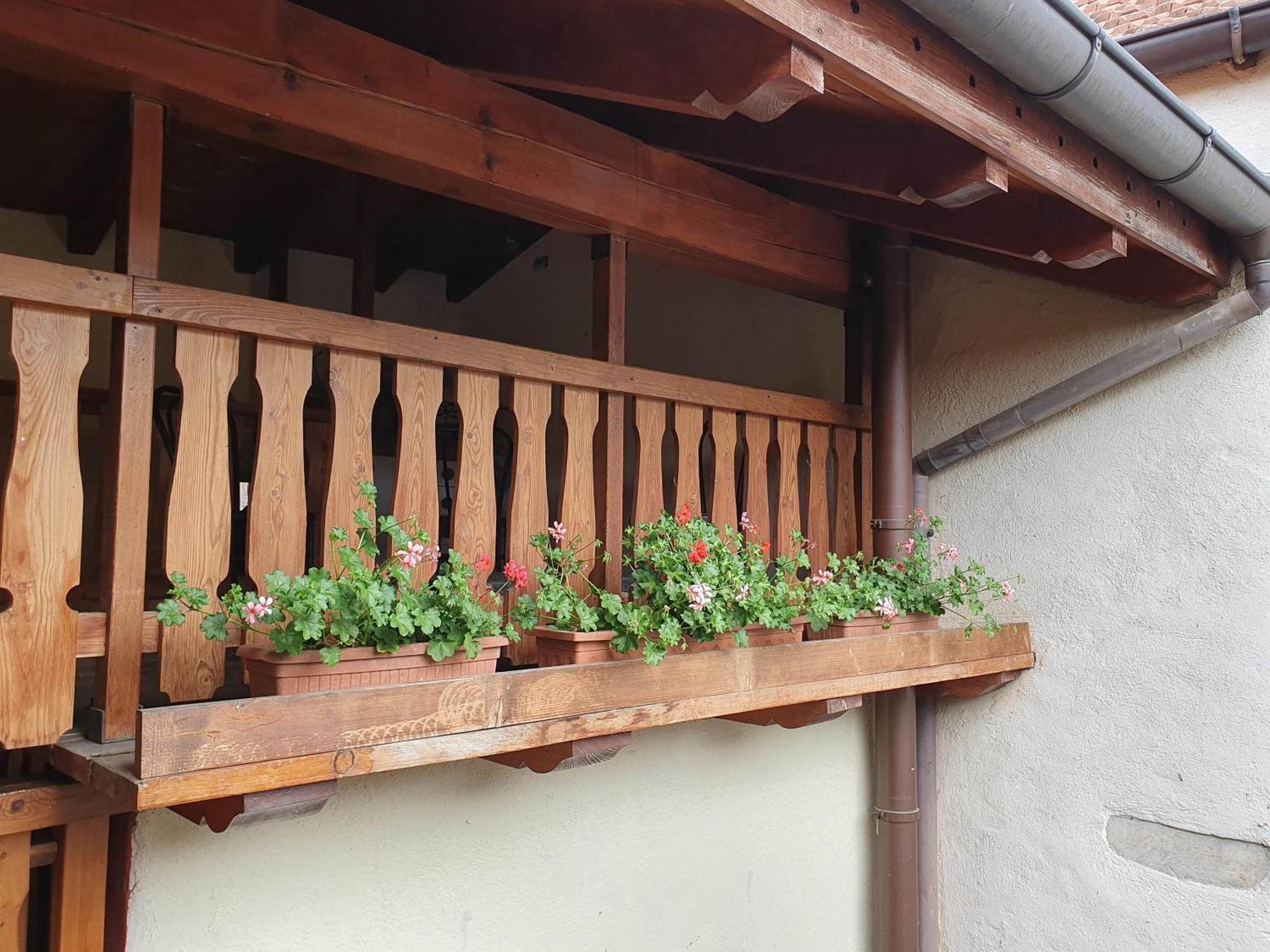 Appartamenti Vacanze E Camere Roccetta Fiorita ペッテナスコ 部屋 写真